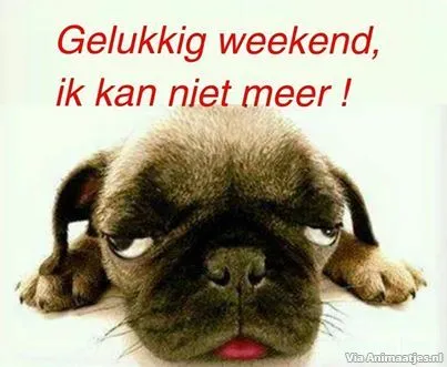 Een moe uitziende hond met tekst "Gelukkig weekend, ik kan niet meer!" bovenaan.