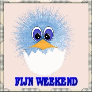 Blauwe vogel met grote ogen en een gebroken ei, met tekst "Fijn weekend".