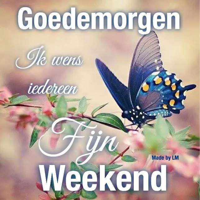 Tekst met "Goedemorgen" en "Fijn Weekend" naast een vlinder en bloemen.