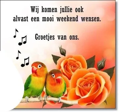 Twee vrolijke papegaaien met een achtergrond van rozen en muzieknoten. Groet voor het weekend.