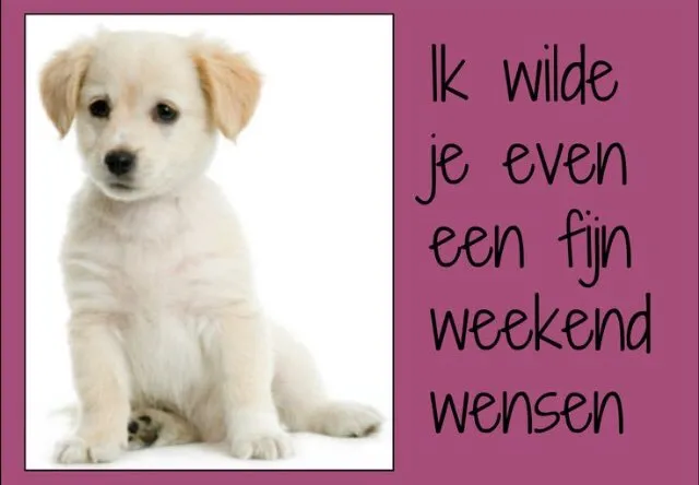 Een schattige puppy met de tekst: "Ik wilde je even een fijn weekend wensen."