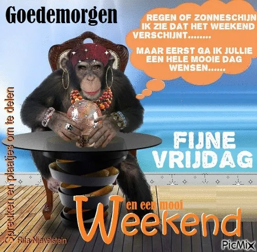 Aap met kleurrijke accessoires en tekst over het weekend en een fijne vrijdag.
