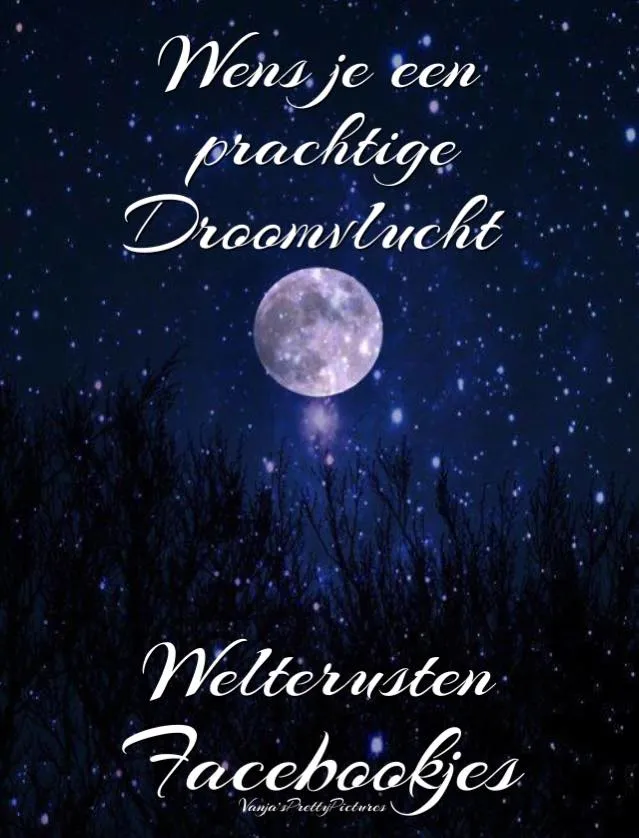 ᐅ welterusten afbeeldingen met tekst - Welterusten plaatjes Een nachtelijke hemel met een volle maan en sterren, tekst in elegante letters.