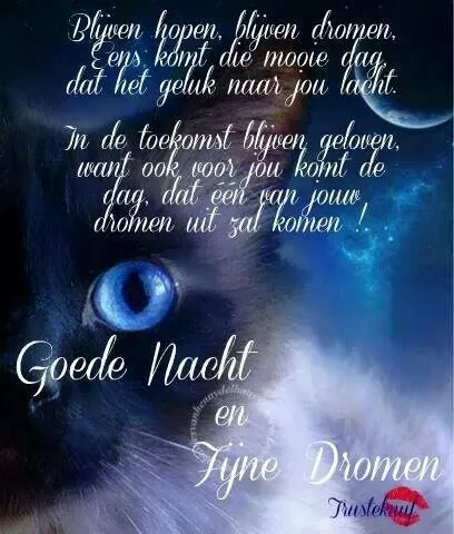 ᐅ welterusten afbeeldingen met tekst - Welterusten plaatjes Kattenkop met blauwe ogen, tekst over dromen en een goede nacht.