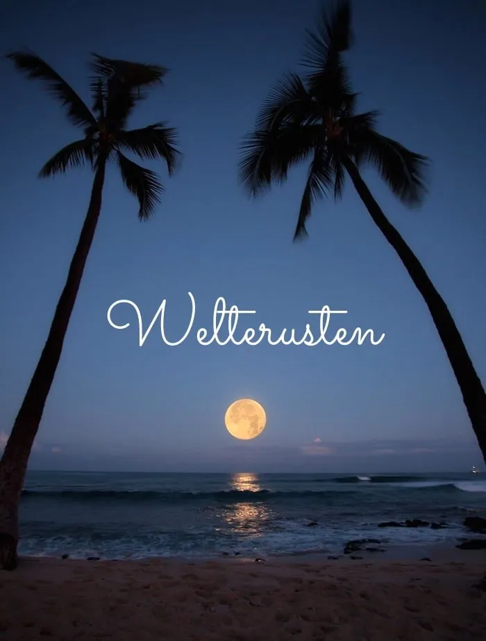 ᐅ welterusten afbeeldingen met tekst - Welterusten plaatjes Twee palmbomen aan een kalme zee bij volle maan in de avondlucht.