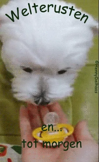 Een witte hond kijkt naar een fopspeen, met de tekst: "Welterusten en... tot morgen".