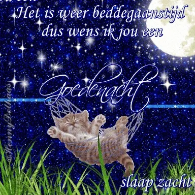 Een slapend kitten in een hangmat onder de sterrenhemel. "Goedenacht" staat geschreven.