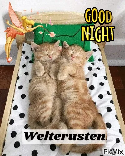 Twee slapende kittens in een bed met een kussen, omringd door sterren en teksten.