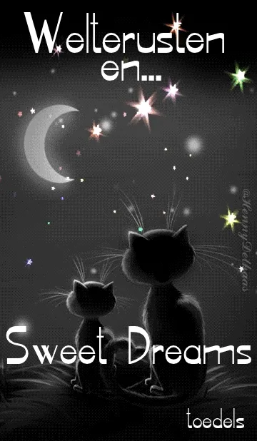 Twee katten zitten kijkend naar de sterren en de maan met de tekst "Sweet Dreams".