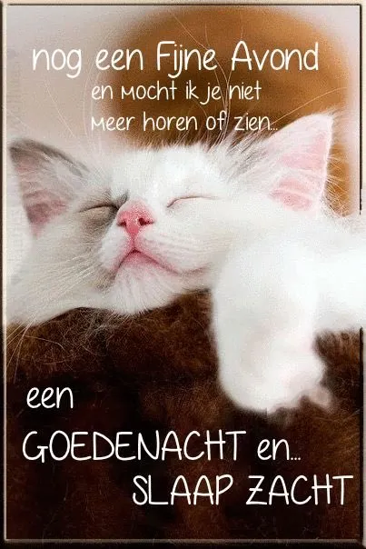 Slaapkat op een kussen met tekst "Goedenacht en slaap zacht".