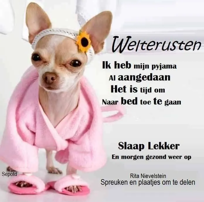 Een schattige hond in pyjama met een bloemenhaarband, klaar om te rusten.