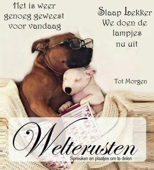 Een grote hond met een bril slaapt met een kleine puppy op een boek.
