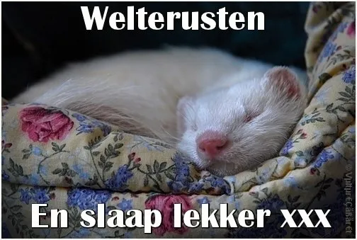 Slaapende fret op een bloemrijk dekentje met de tekst "Welterusten".