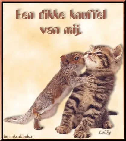 Een squirrel knuffelt een kitten met een zachte achtergrond.