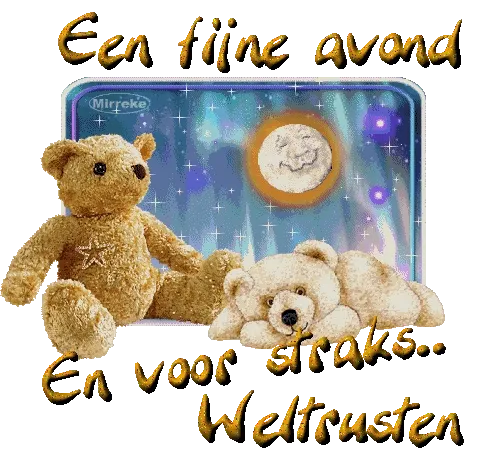 Twee teddyberen met een achtergrond van een maan en sterren. Tekst: "Fijne avond".
