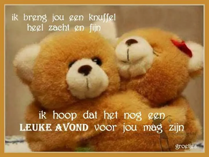 Twee teddyberen omarmend met een boodschap van vriendschap en warmte.