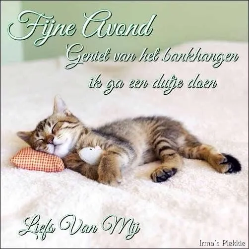 Een slapende kitten op een zachte deken met tekst over een fijne avond.