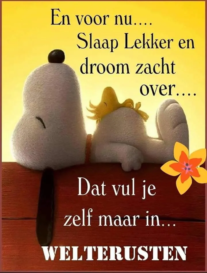 Snoopy slaapt met een vogel op zijn rug, met een boodschap over dromen en rust.