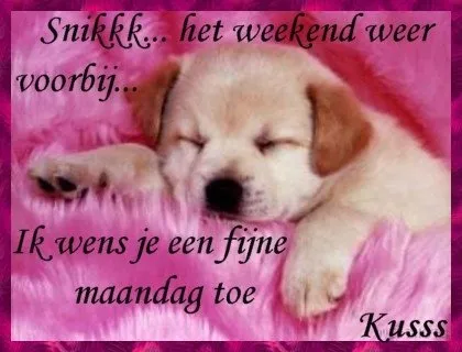 Een schattige slapende puppy op een roze achtergrond met een tekst over het weekend.