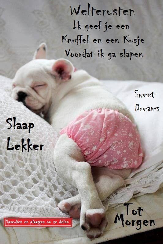 ᐅ welterusten plaatjes - Welterusten plaatjes