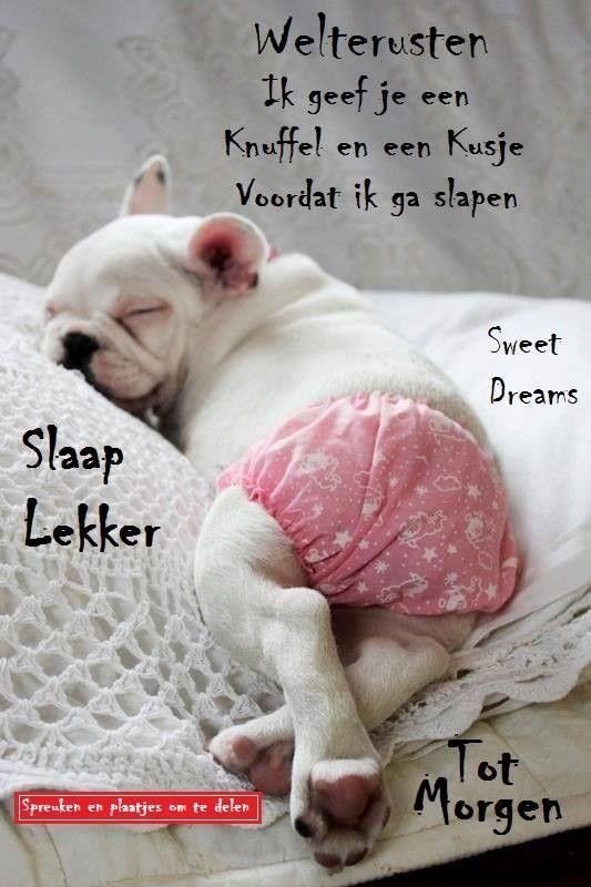 ᐅ welterusten plaatjes - Welterusten plaatjes