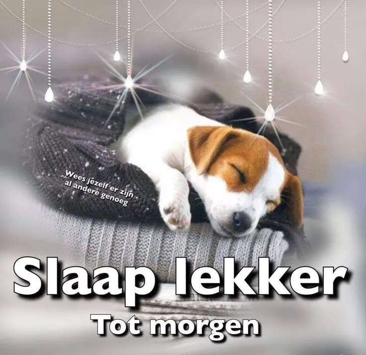 ᐅ welterusten slaap lekker - Welterusten plaatjes Een slapende puppy ligt knus in een deken met een vriendelijke tekst.