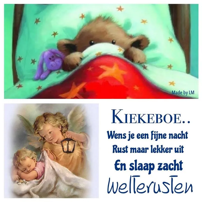 ᐅ welterusten slaap lekker - Welterusten plaatjes Een schattig beestje slaapt onder een sterrenhemel met een engel erbij.