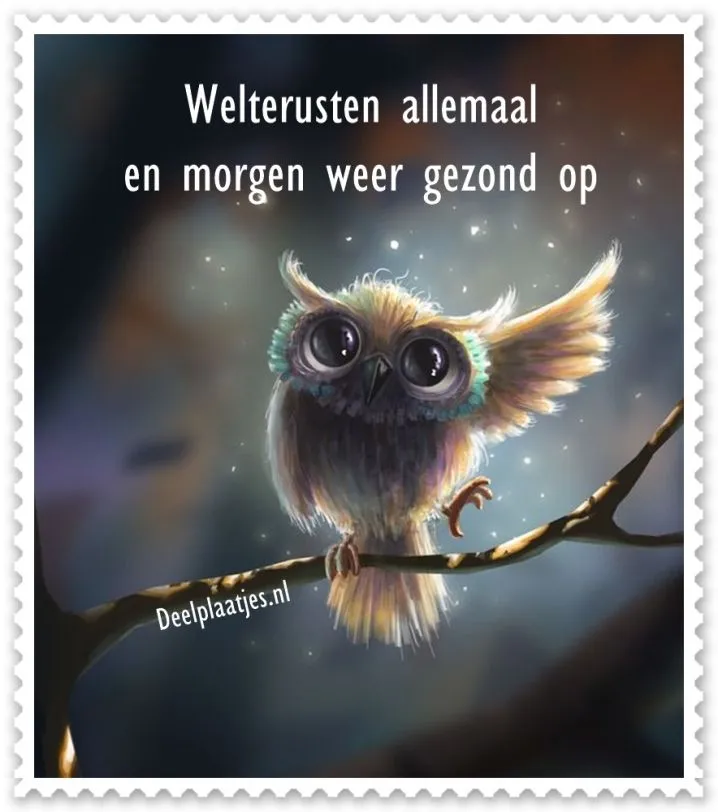 ᐅ welterusten slaap lekker - Welterusten plaatjes Een schattige uil op een tak met een bemoedigende tekst ernaast.