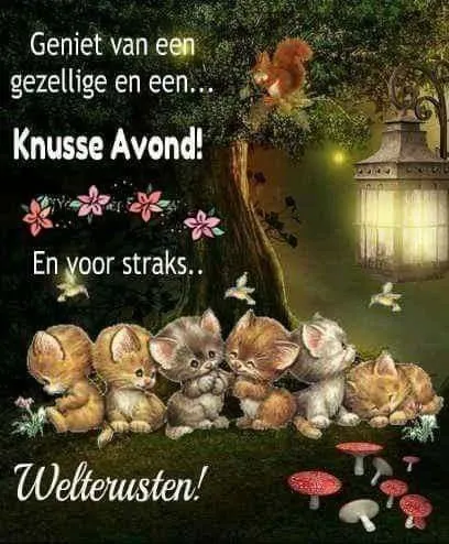ᐅ welterusten slaap lekker - Welterusten plaatjes Illustratie van schattige kittens en een bosrijke achtergrond met een lantaarn.