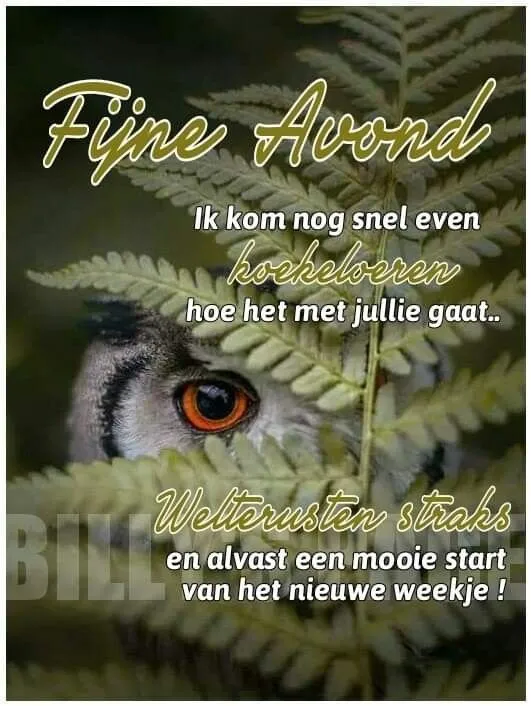 ᐅ welterusten slaap lekker - Welterusten plaatjes Een uil kijkt tussen bladeren. Tekst: "Fijne Avond, welterusten straks!"