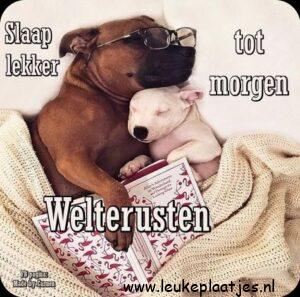 welterusten slaap lekker tot morgen