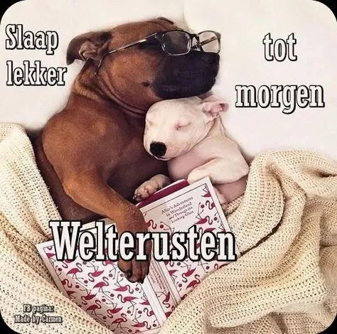 ᐅ welterusten slaap lekker tot morgen - Welterusten plaatjes Een hond en een puppy slapen knus samen op een deken met een boek tussen hen.
