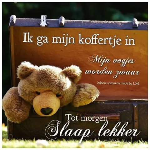 ᐅ welterusten slaap lekker tot morgen - Welterusten plaatjes Een teddybeer ligt in een open koffer met de tekst over slapen en dromen.