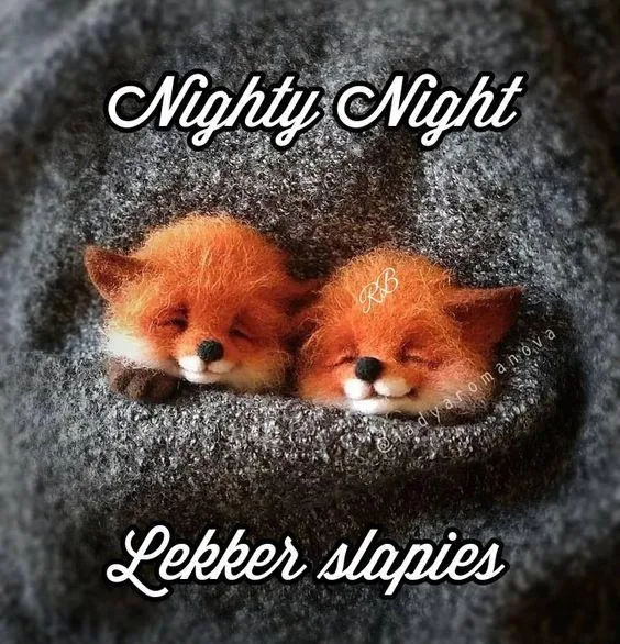 ᐅ welterusten slaap lekker tot morgen - Welterusten plaatjes Twee schattige, slapende vossen in een warme deken.