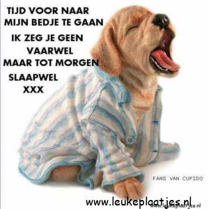 Prachtige welterusten tot morgen wensen voor een hartverwarmend gevoel