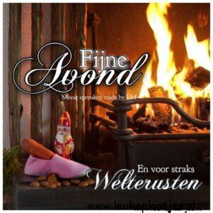 De mooiste welterusten voor straks om te delen