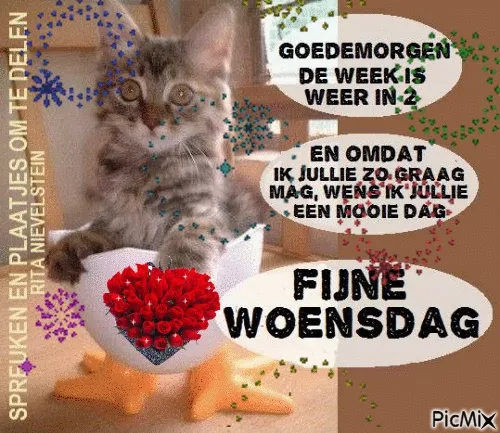 ᐅ woensdag spreuken - Woensdag plaatjes