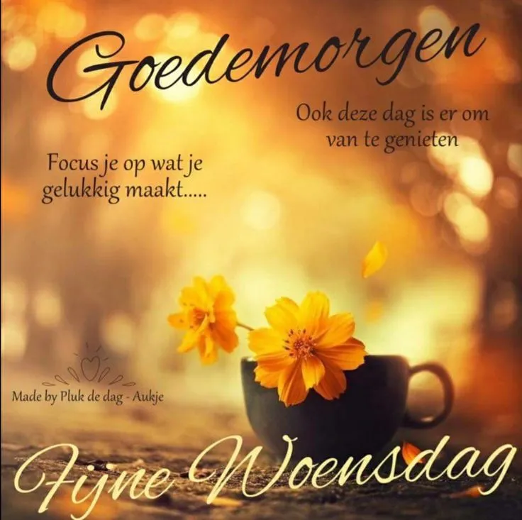 ᐅ woensdag spreuken - Woensdag plaatjes