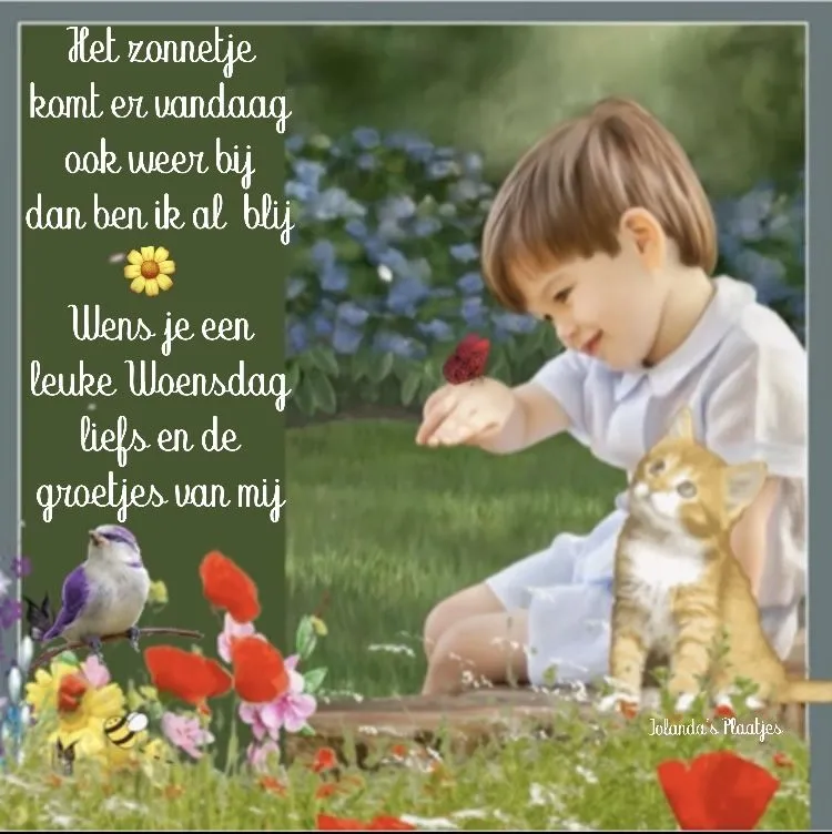 ᐅ woensdagavond afbeeldingen - Fijne avond plaatjes Jongen speelt in de tuin met een vlinder en een kat, omringd door bloemen.