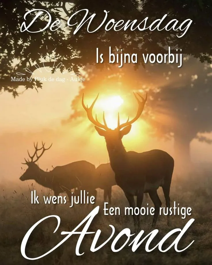 ᐅ woensdagavond afbeeldingen - Fijne avond plaatjes Zonneschijn door bomen met herten, tekst over een mooie rustige avond.