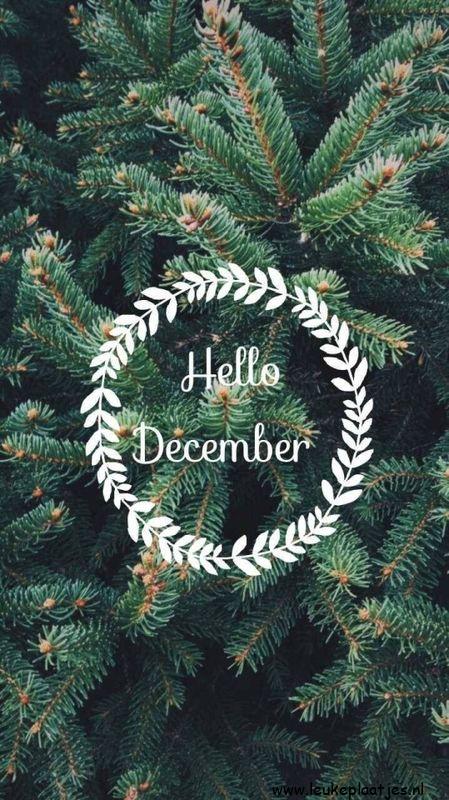 ᐅ afbeelding december - December plaatjes ᐅ afbeelding december - December plaatjes