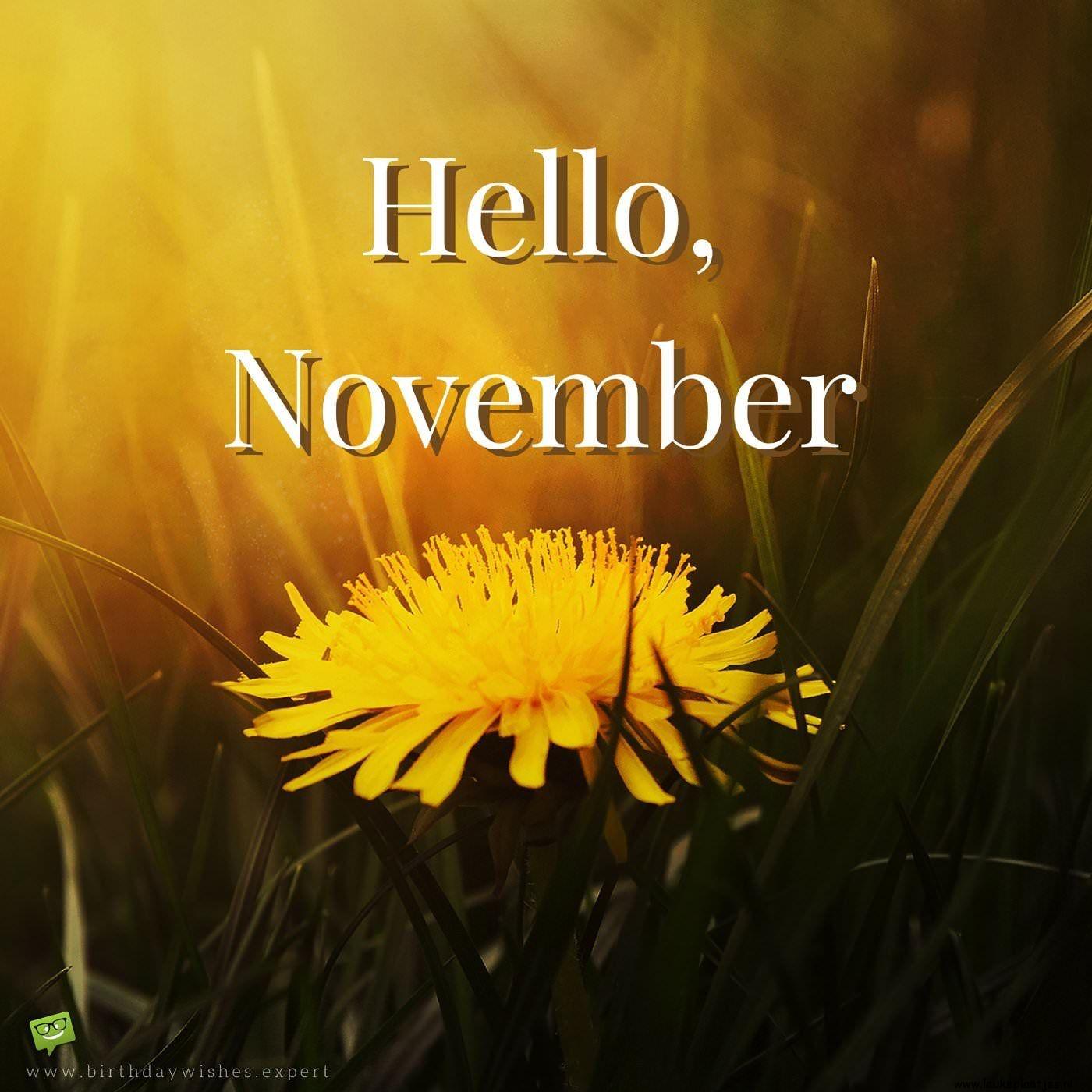 ᐅ afbeelding welkom november - Welkom November plaatjes ᐅ afbeelding welkom november - Welkom November plaatjes