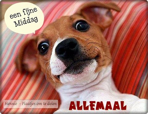 ᐅ allemaal plaatjes - Dinsdag plaatjes ᐅ allemaal plaatjes - Dinsdag plaatjes