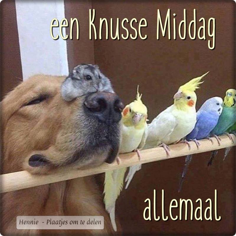 ᐅ allemaal plaatjes - Dinsdag plaatjes ᐅ allemaal plaatjes - Dinsdag plaatjes