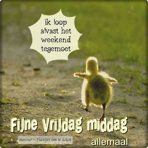 ᐅ allemaal plaatjes - Dinsdag plaatjes ᐅ allemaal plaatjes - Dinsdag plaatjes