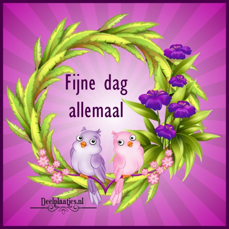 ᐅ allemaal plaatjes - Dinsdag plaatjes