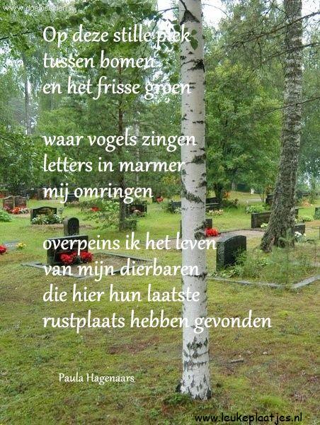 ᐅ allerheiligen tekst - Allerheiligen plaatjes