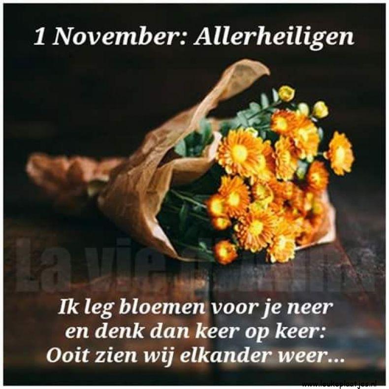 ᐅ allerheiligen tekst - Allerheiligen plaatjes