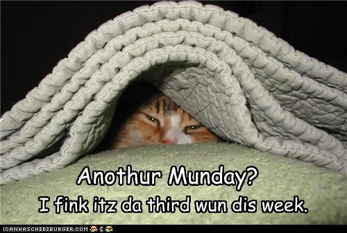 ᐅ alweer maandag - Maandag plaatjes