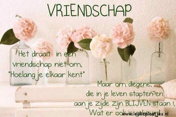 ᐅ bedankt voor je vriendschap - Vriendschap Plaatjes en Gifs plaatjes ᐅ bedankt voor je vriendschap - Vriendschap Plaatjes en Gifs plaatjes